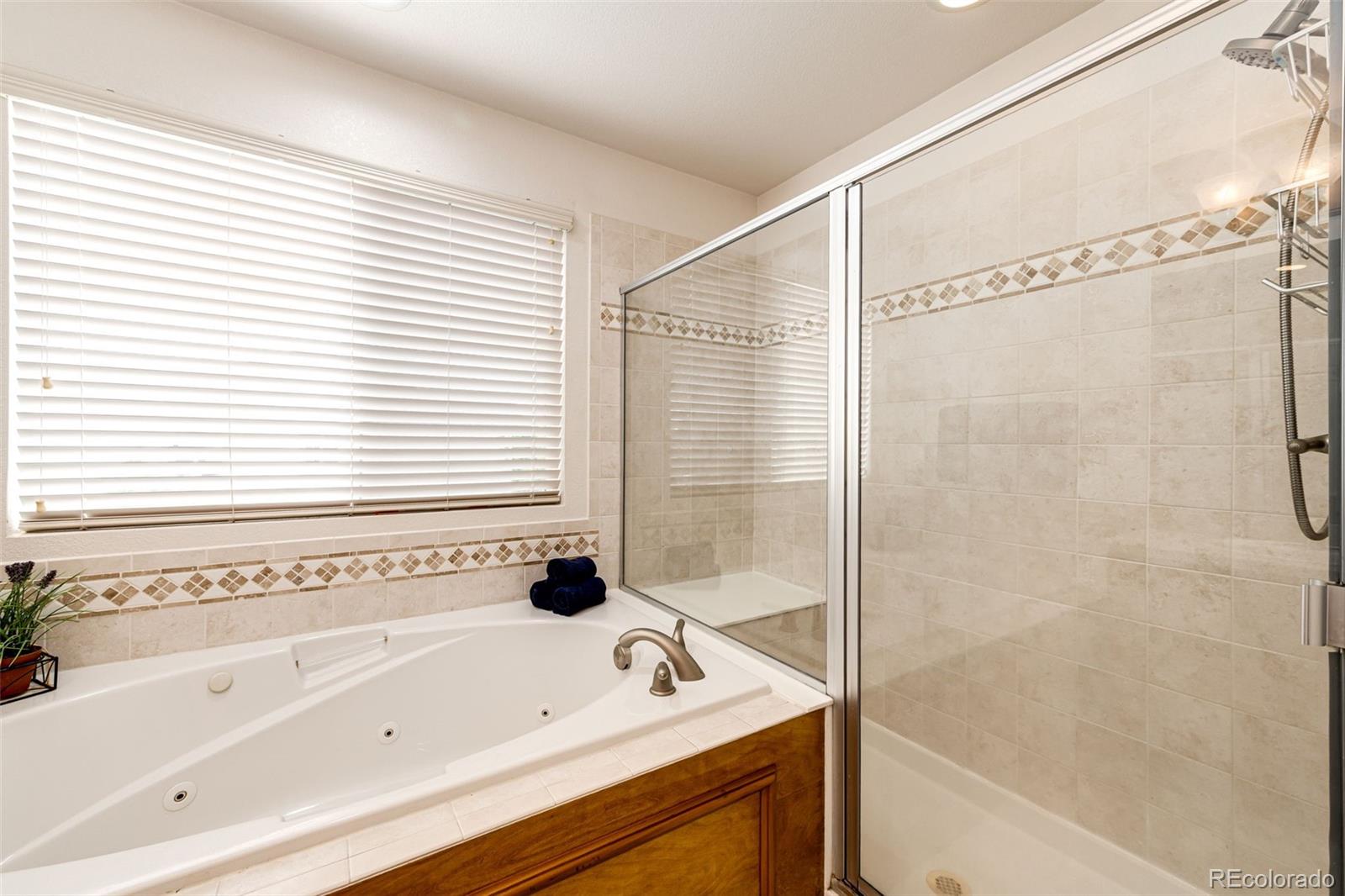 MLS Image #21 for 22962  briar leaf avenue,parker, Colorado