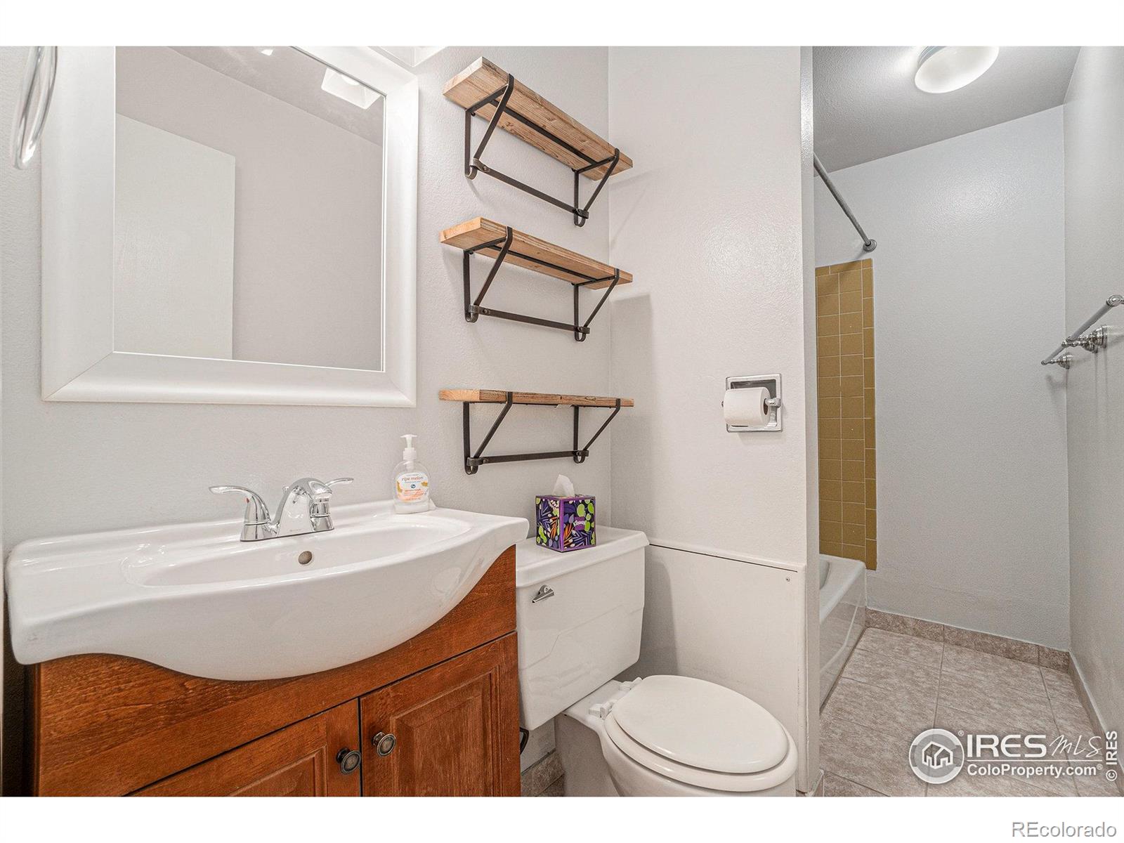 MLS Image #14 for 2824  edinburgh court,fort collins, Colorado