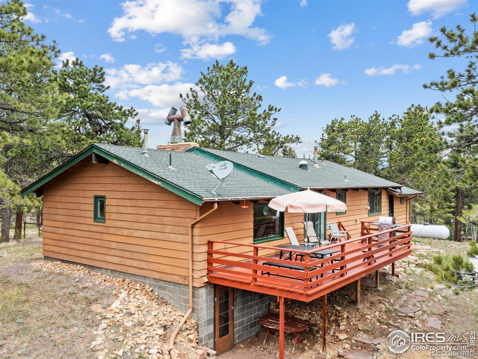 MLS Image #11 for 839  ski road,allenspark, Colorado