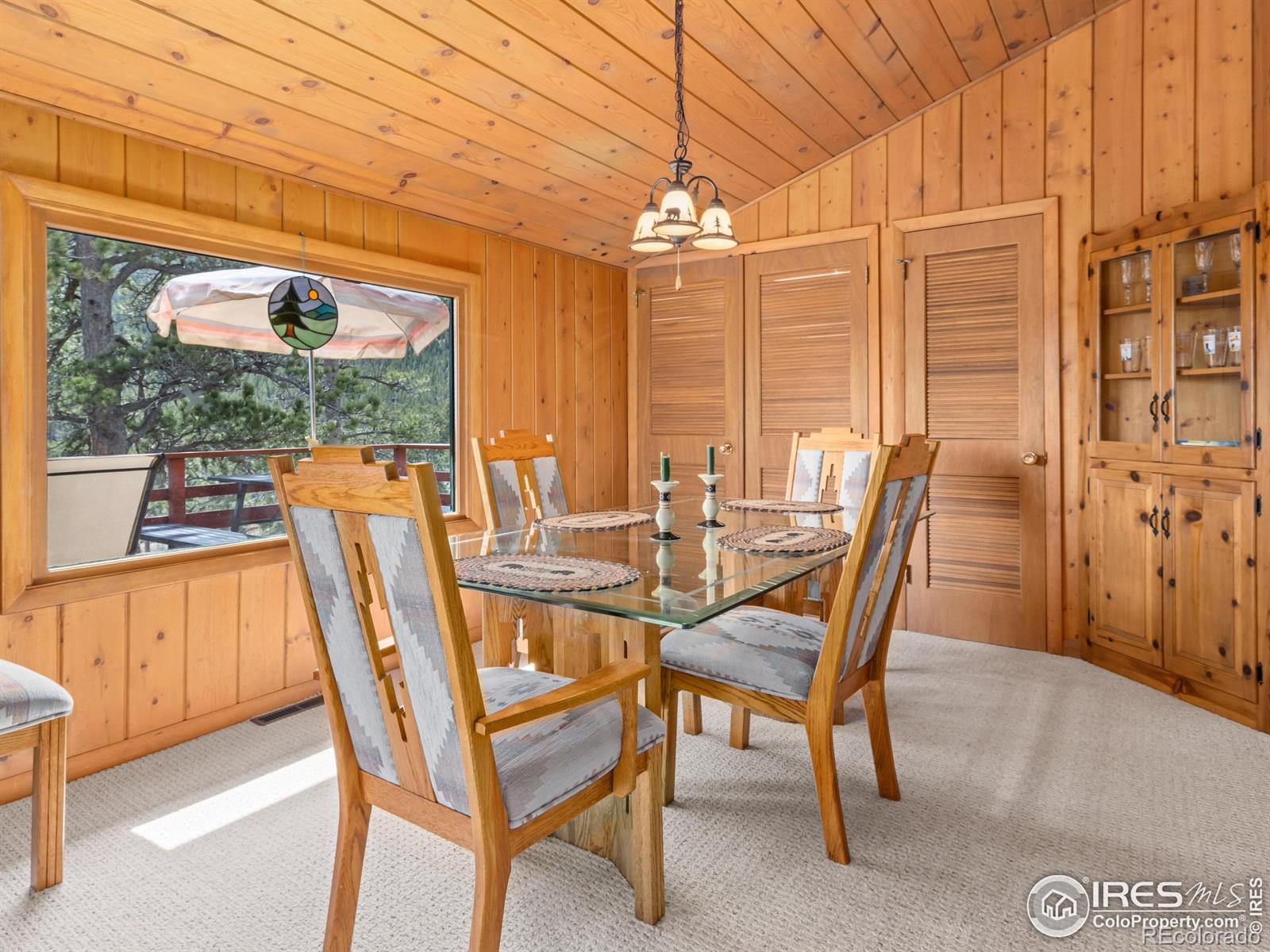 MLS Image #13 for 839  ski road,allenspark, Colorado