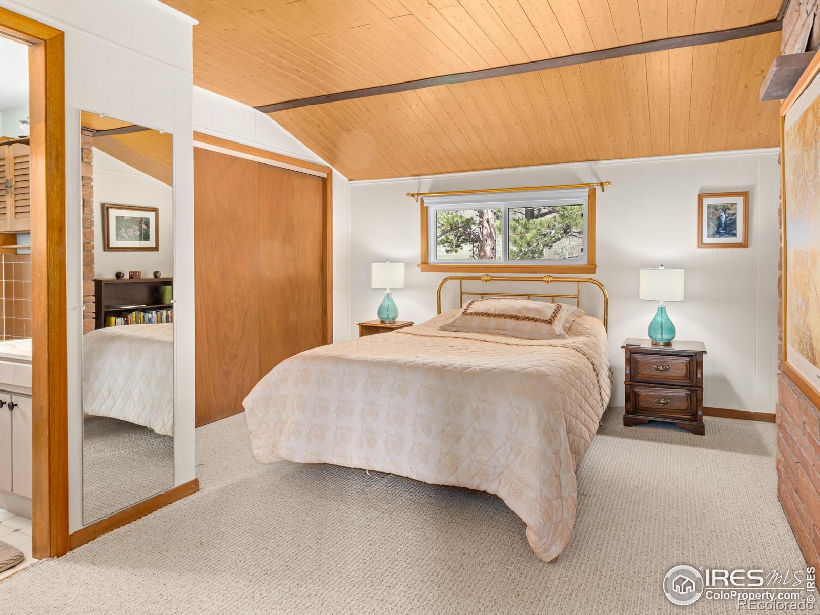 MLS Image #14 for 839  ski road,allenspark, Colorado