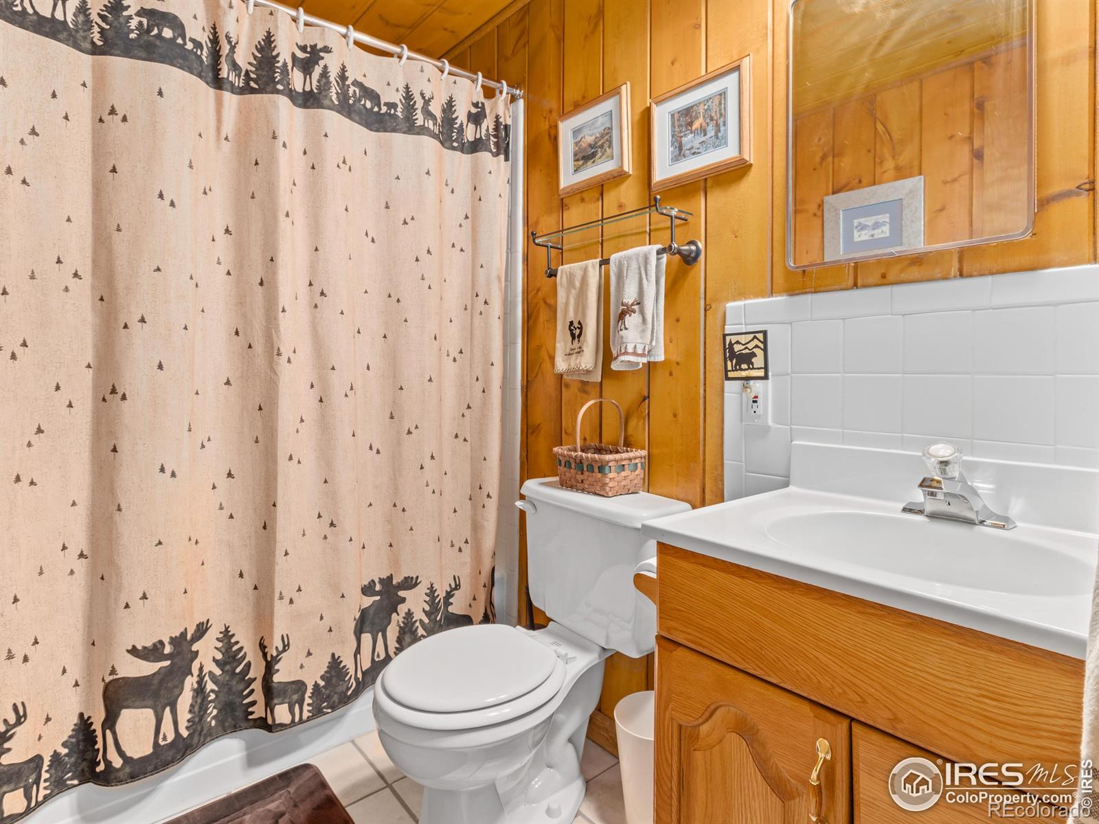MLS Image #16 for 839  ski road,allenspark, Colorado