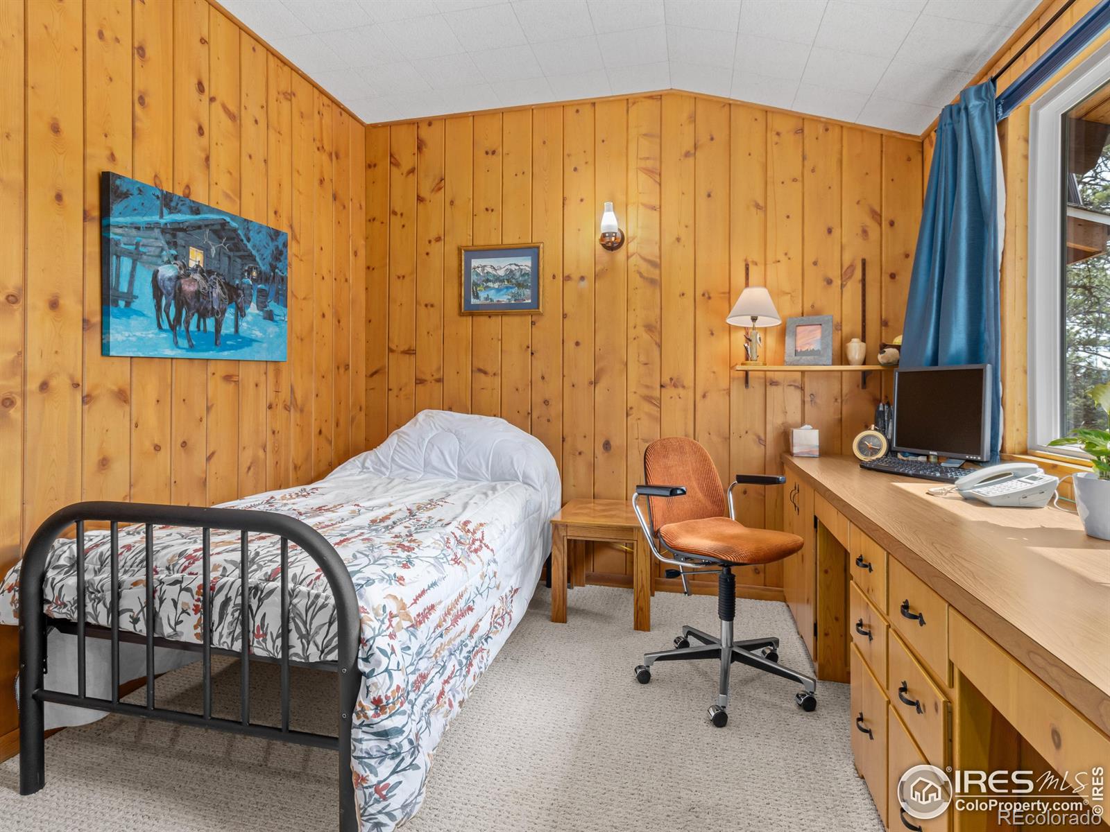 MLS Image #18 for 839  ski road,allenspark, Colorado