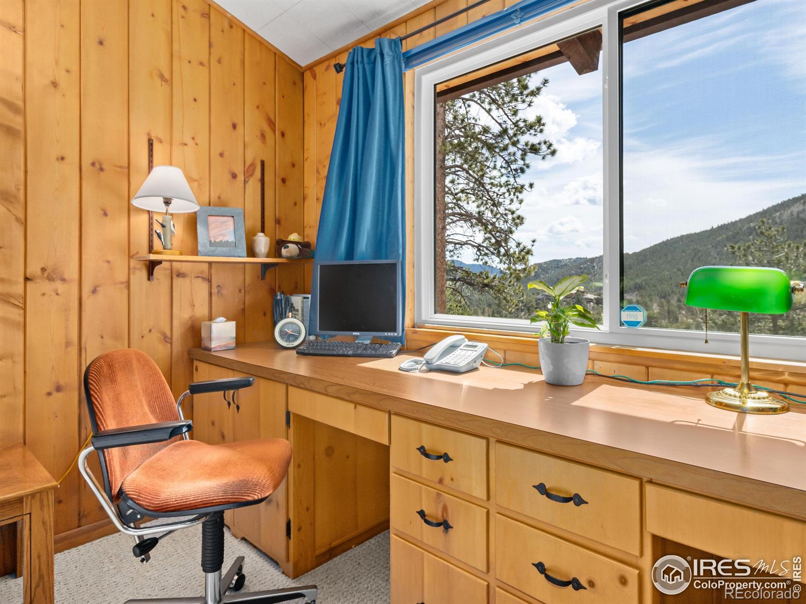 MLS Image #19 for 839  ski road,allenspark, Colorado