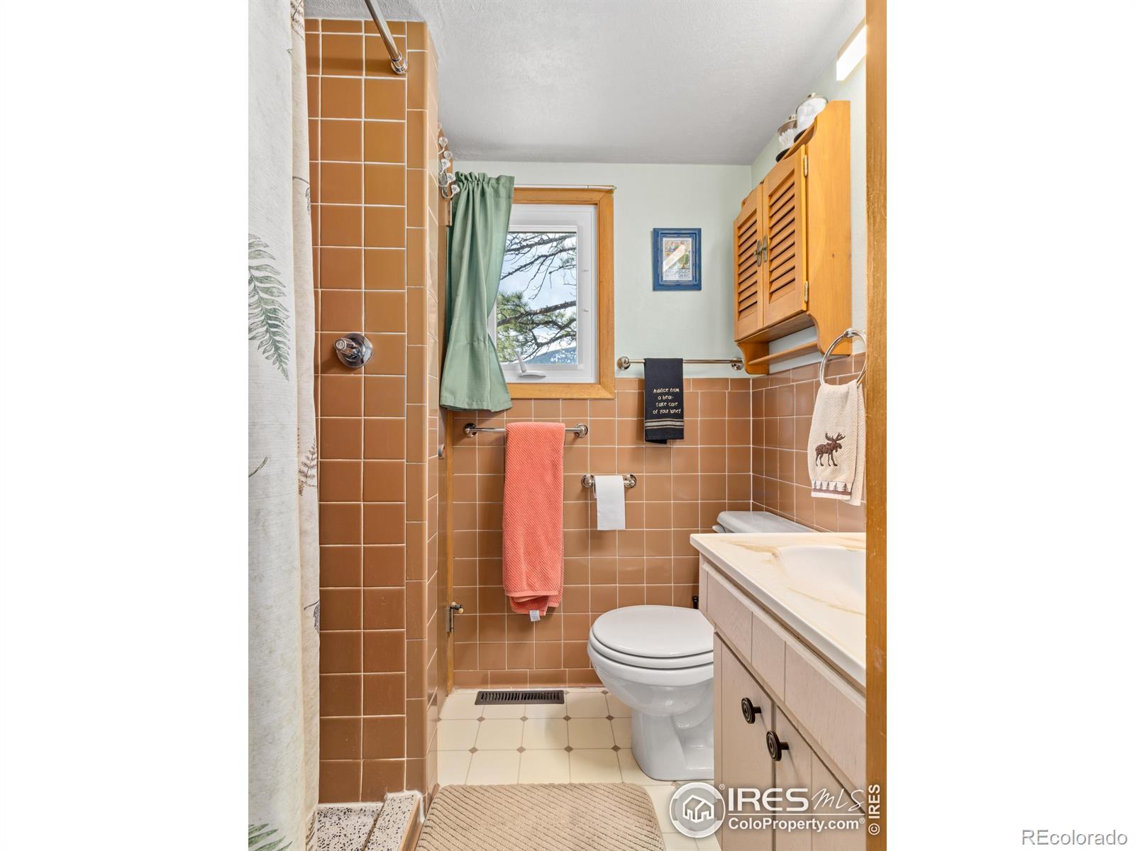 MLS Image #20 for 839  ski road,allenspark, Colorado