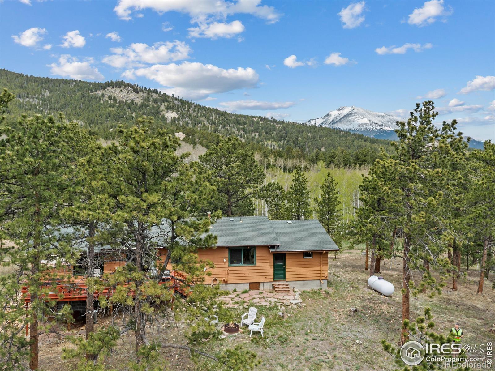 MLS Image #22 for 839  ski road,allenspark, Colorado