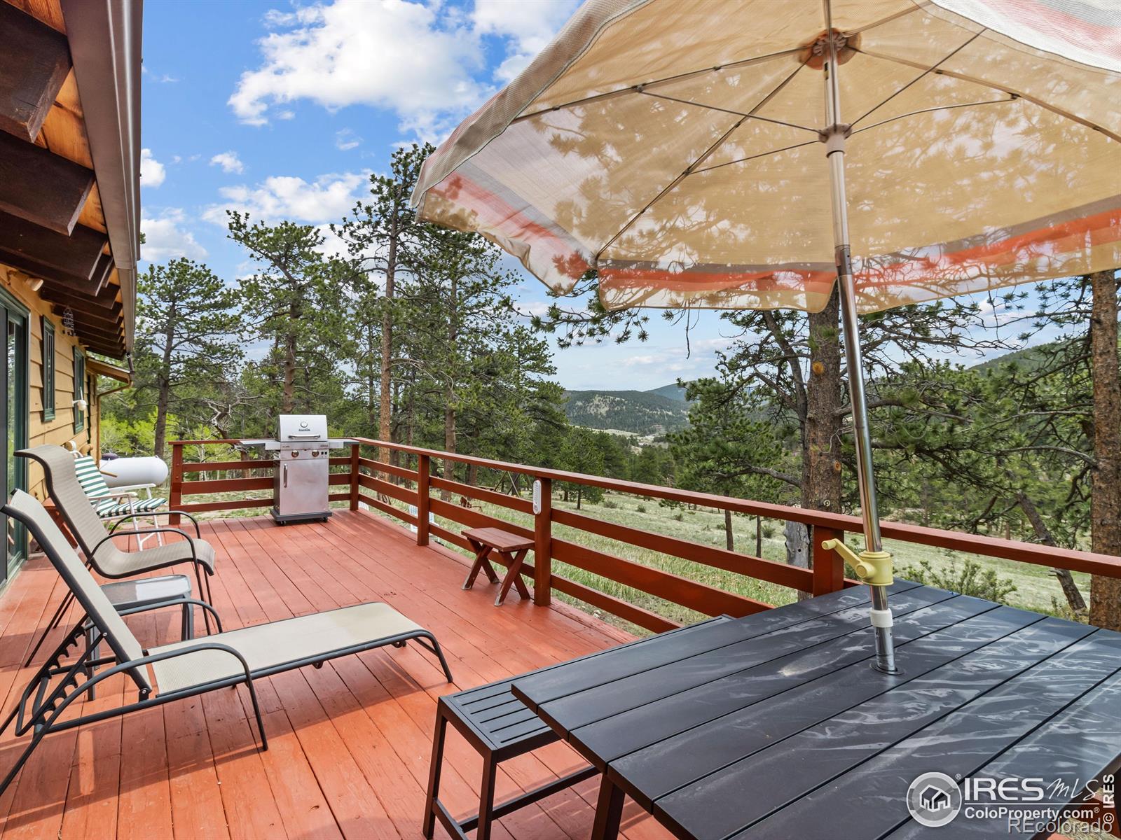 MLS Image #3 for 839  ski road,allenspark, Colorado