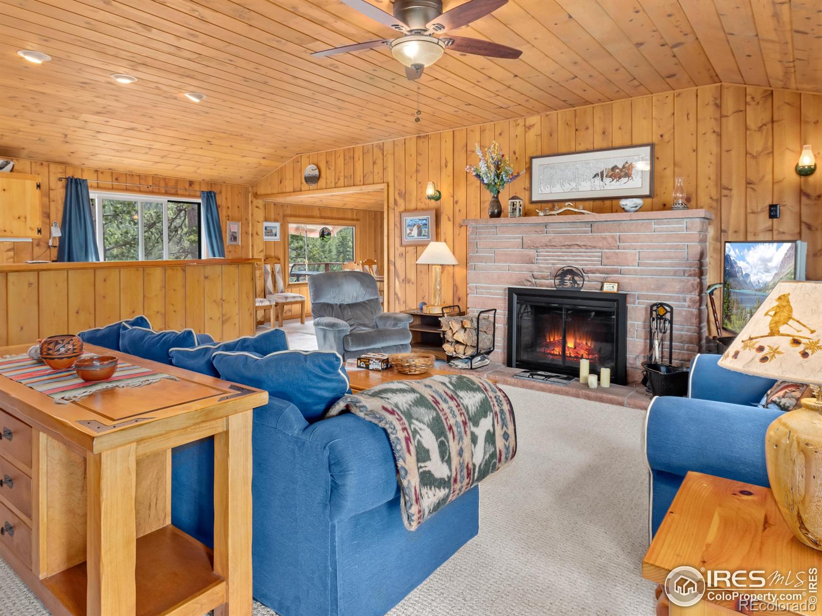 MLS Image #4 for 839  ski road,allenspark, Colorado