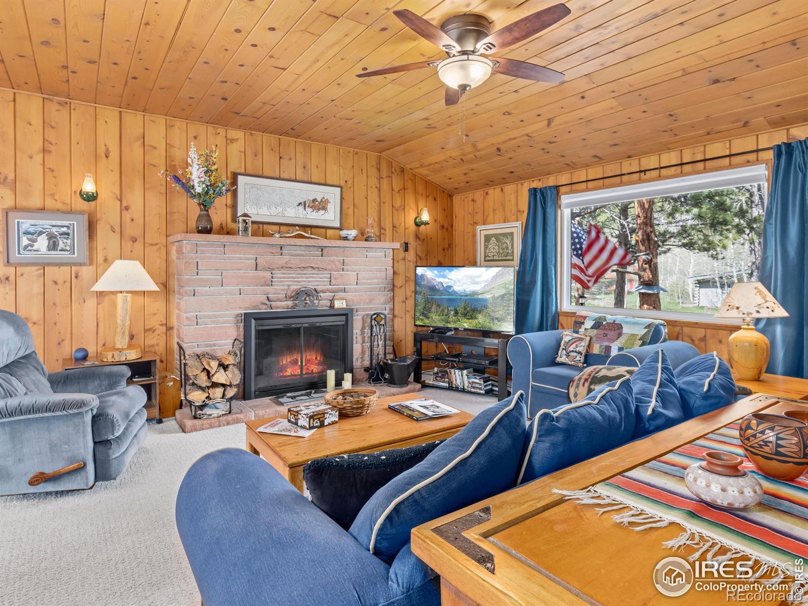 MLS Image #5 for 839  ski road,allenspark, Colorado