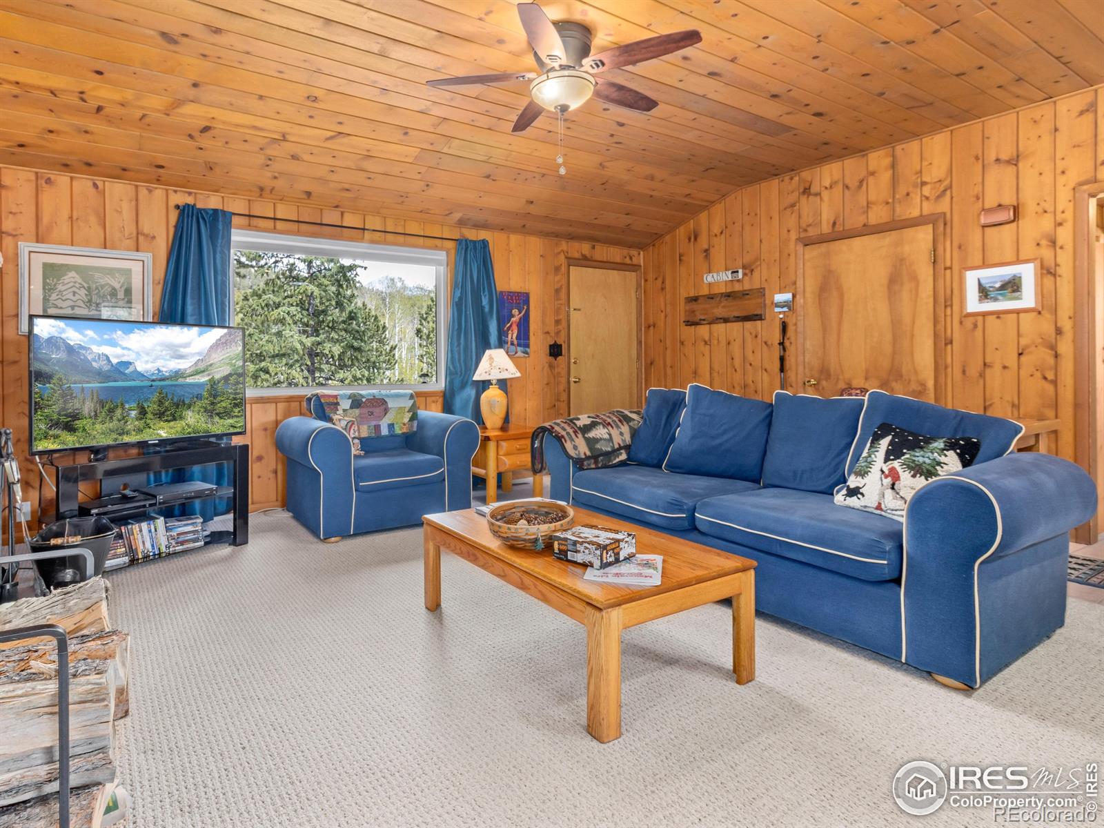 MLS Image #6 for 839  ski road,allenspark, Colorado