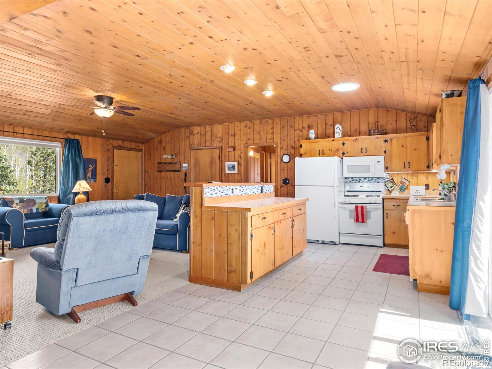 MLS Image #7 for 839  ski road,allenspark, Colorado