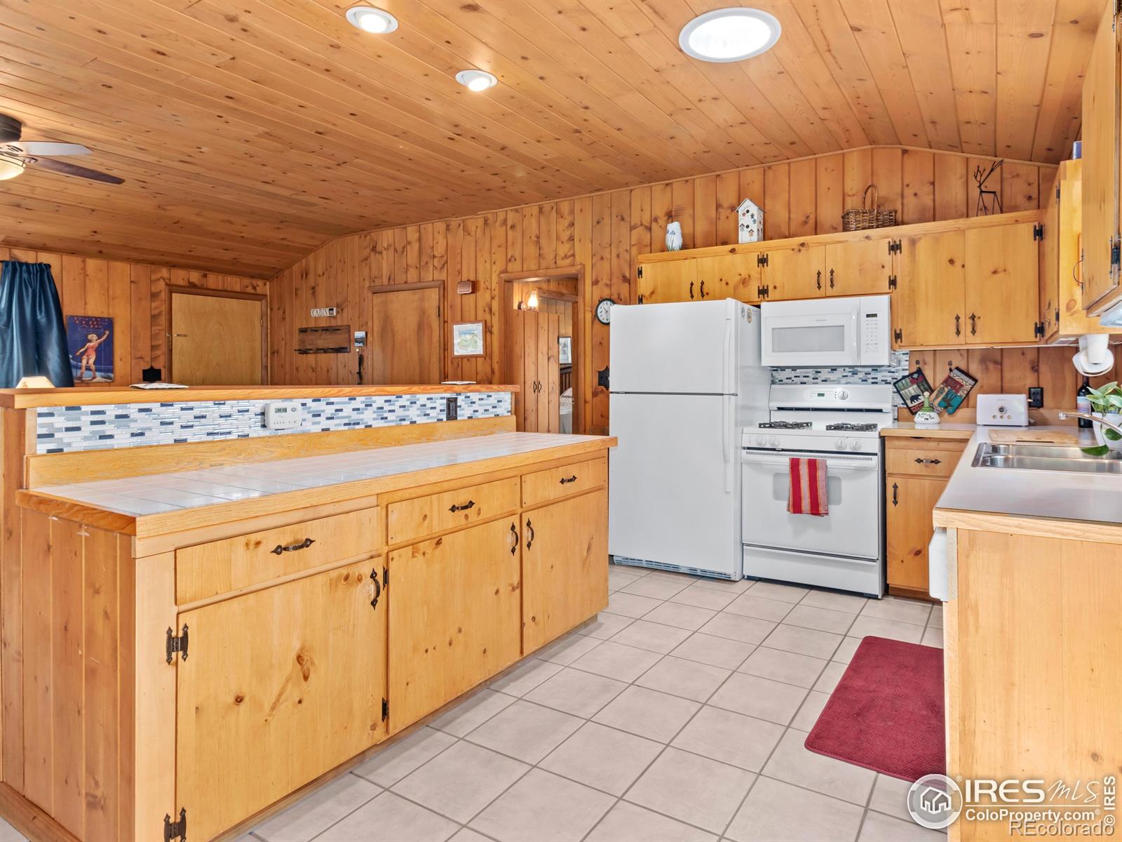 MLS Image #8 for 839  ski road,allenspark, Colorado