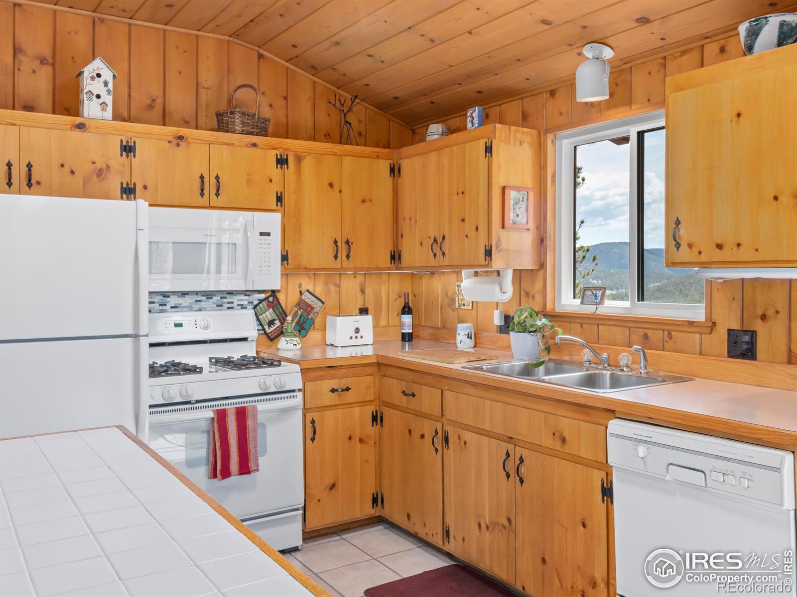 MLS Image #9 for 839  ski road,allenspark, Colorado