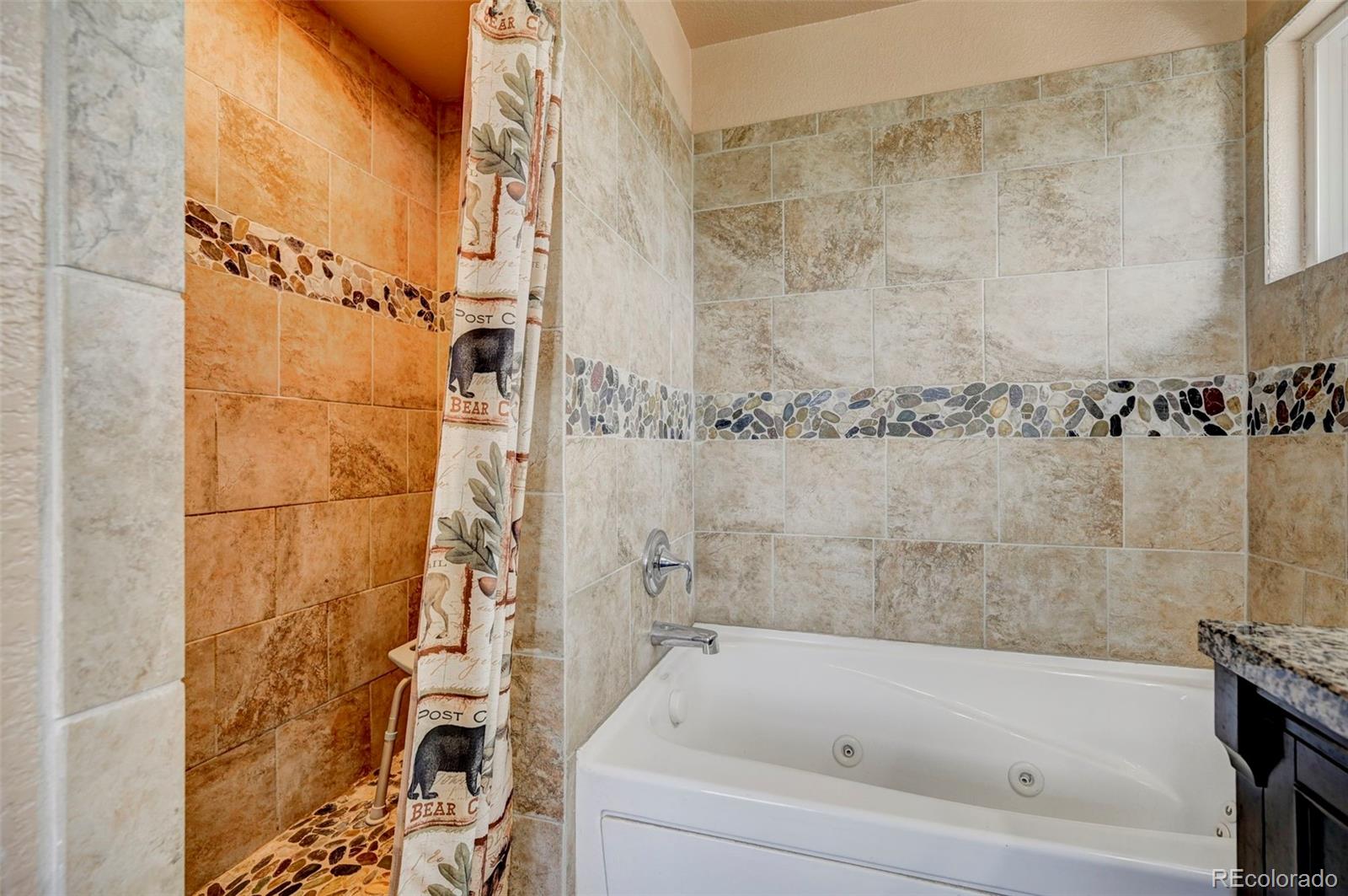 MLS Image #20 for 12430  old barn road,elbert, Colorado