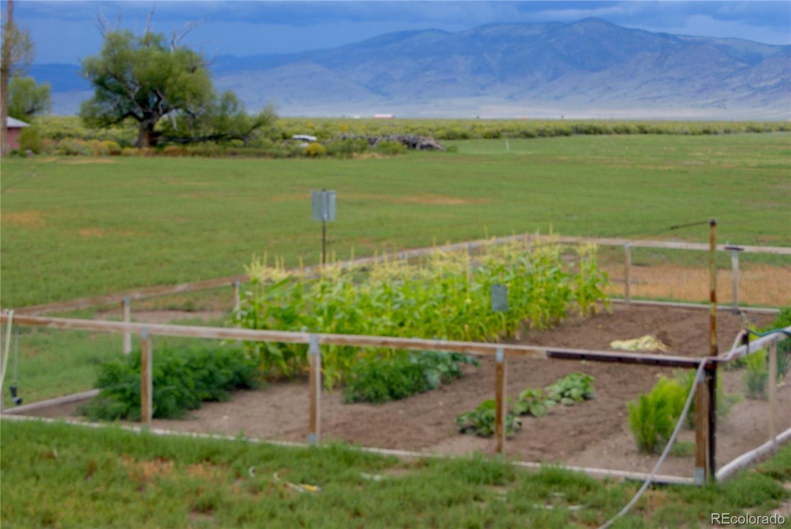 MLS Image #16 for 51655  county road u ,saguache, Colorado