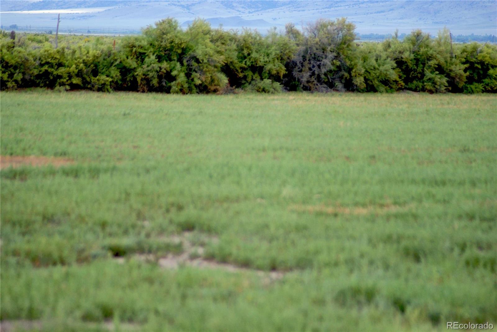 MLS Image #19 for 51655  county road u ,saguache, Colorado