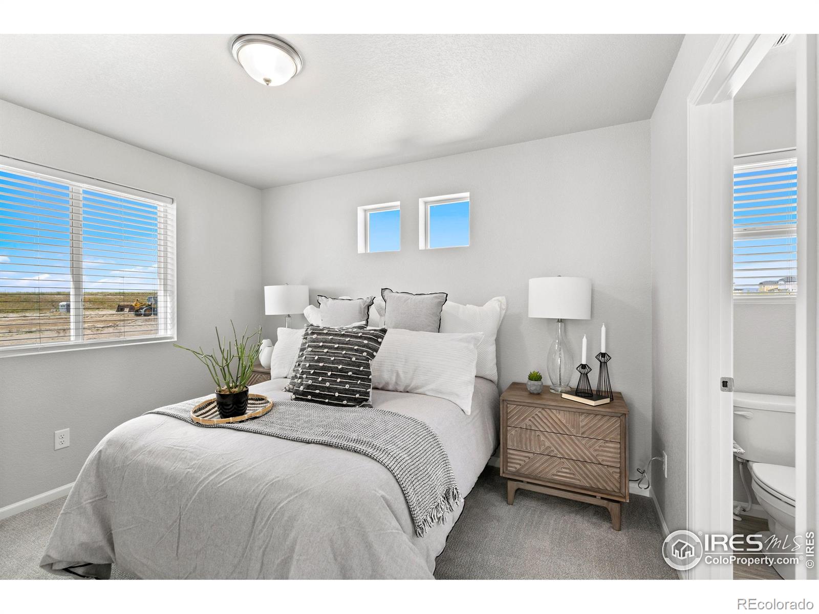 MLS Image #19 for 3398  streamwood drive,johnstown, Colorado