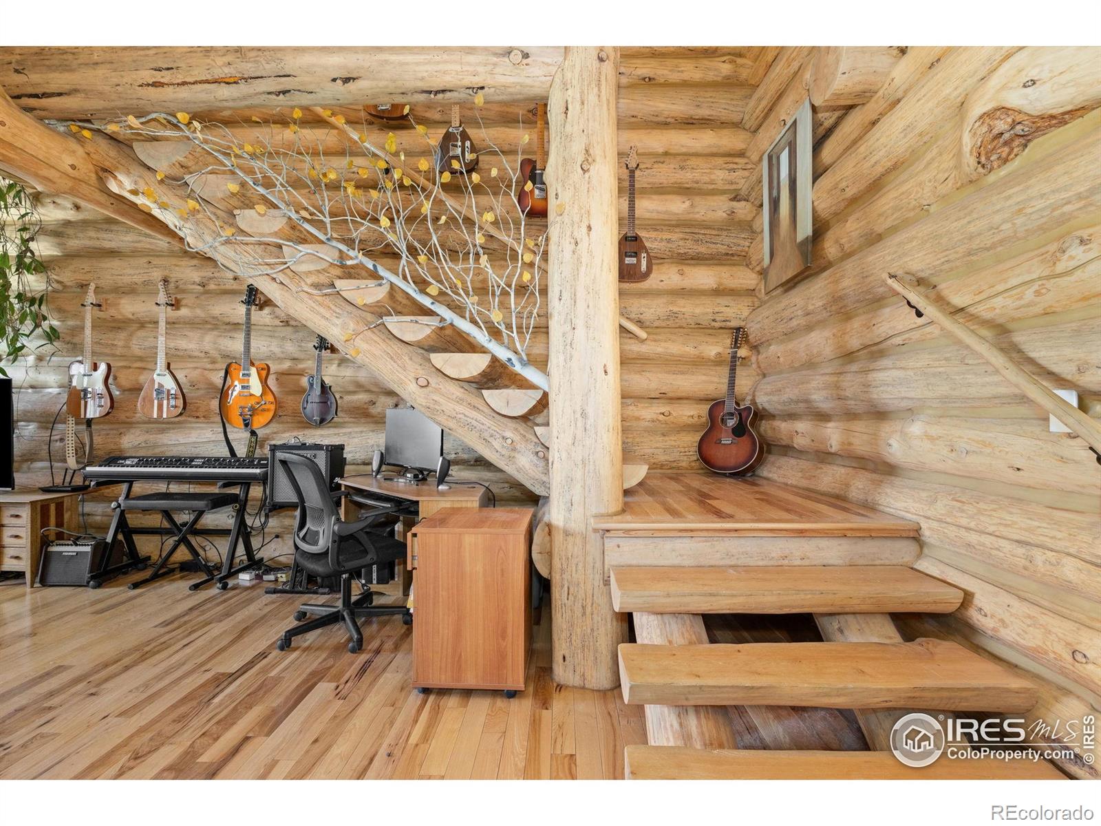 MLS Image #13 for 77  cairn court,drake, Colorado