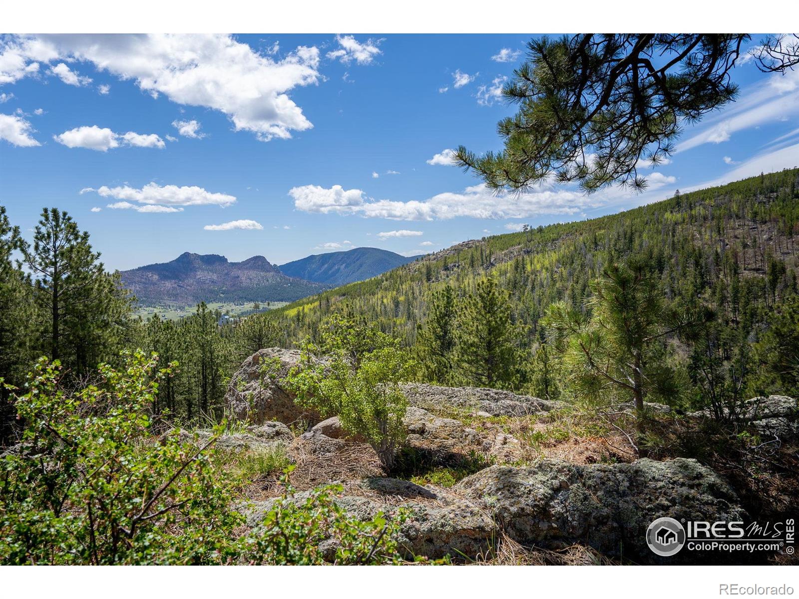 MLS Image #34 for 77  cairn court,drake, Colorado