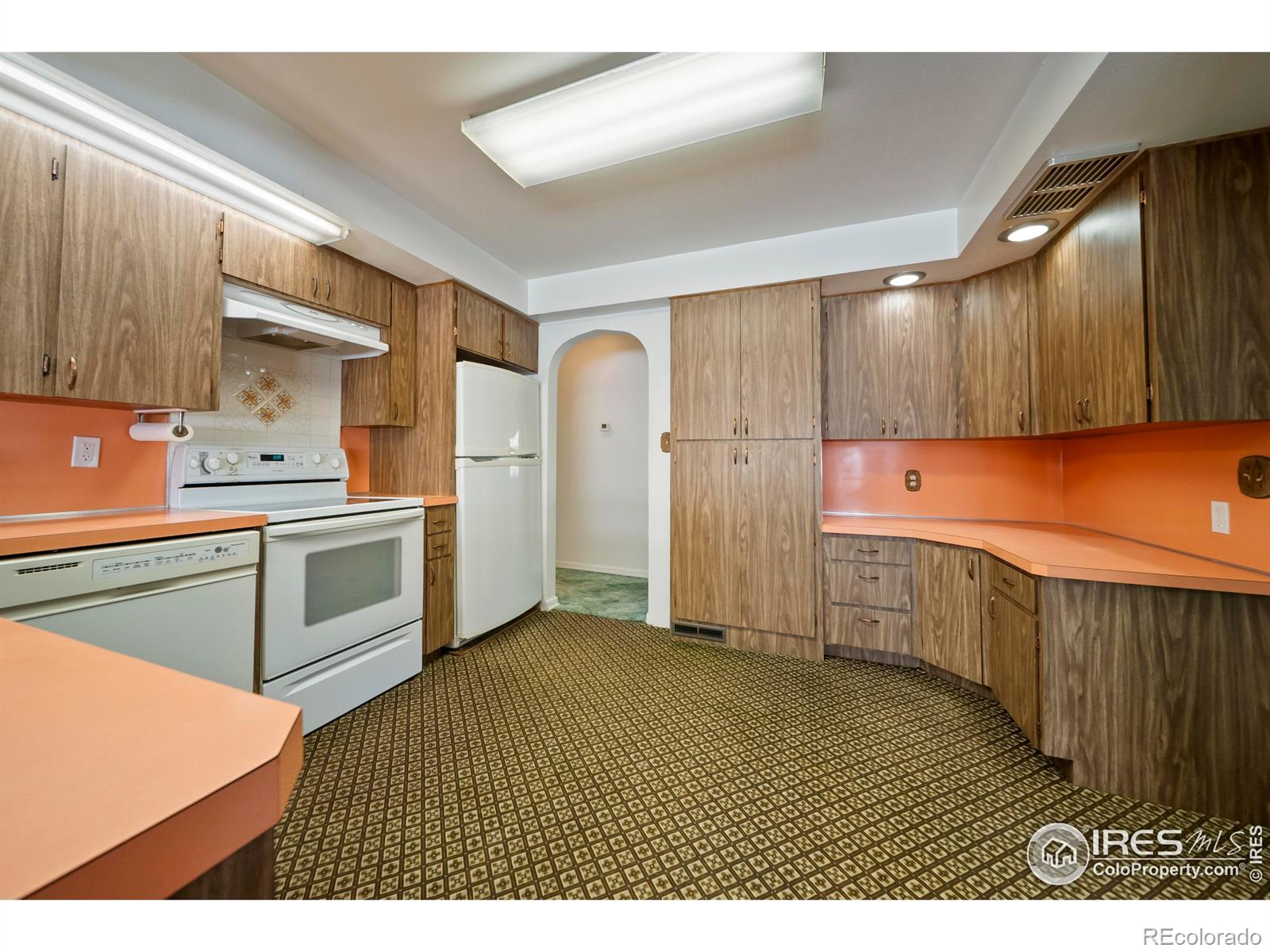 MLS Image #11 for 201  howard street,brush, Colorado