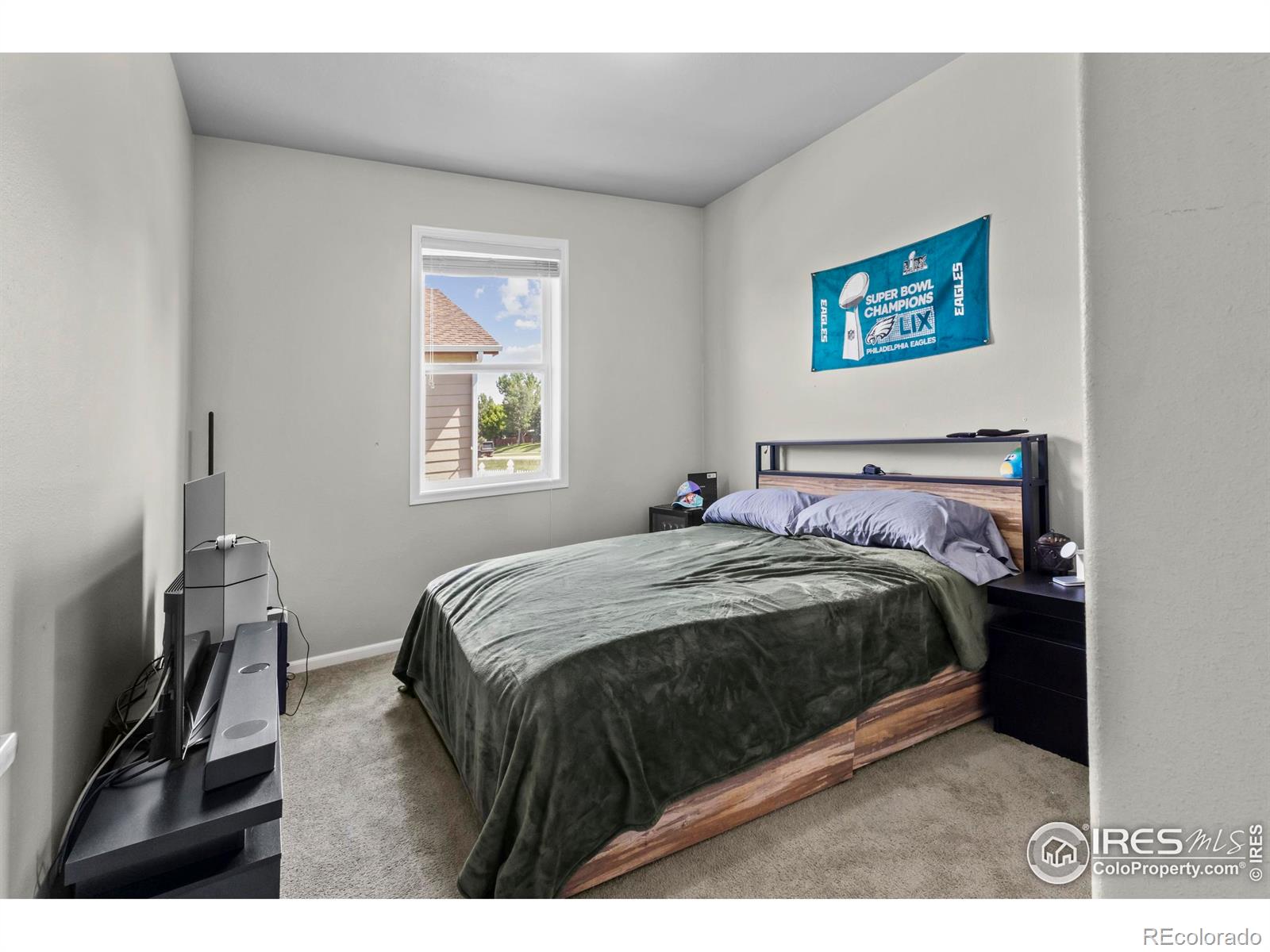 MLS Image #10 for 6150  bluestem green,frederick, Colorado