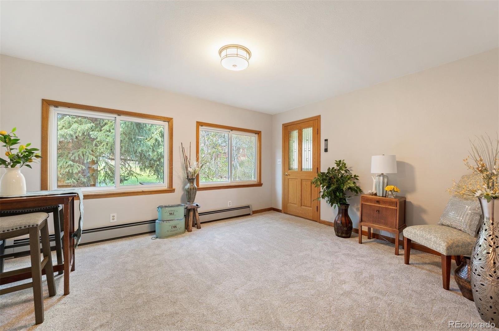 MLS Image #12 for 10049 s turkey creek road,morrison, Colorado