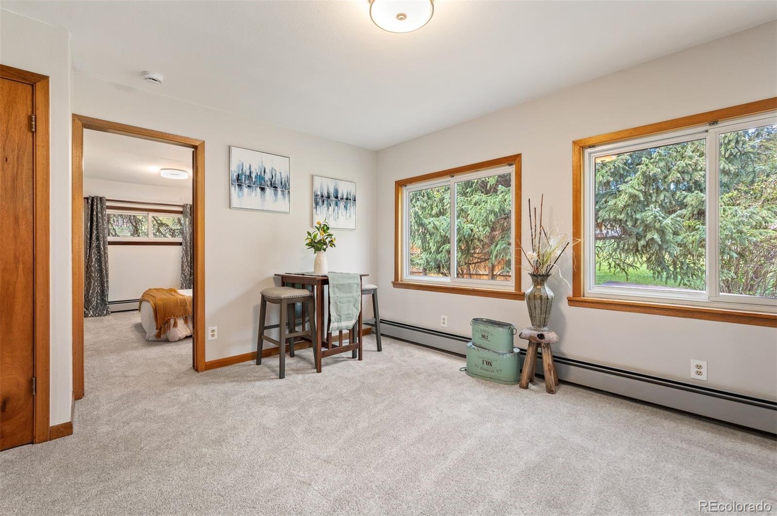MLS Image #14 for 10049 s turkey creek road,morrison, Colorado