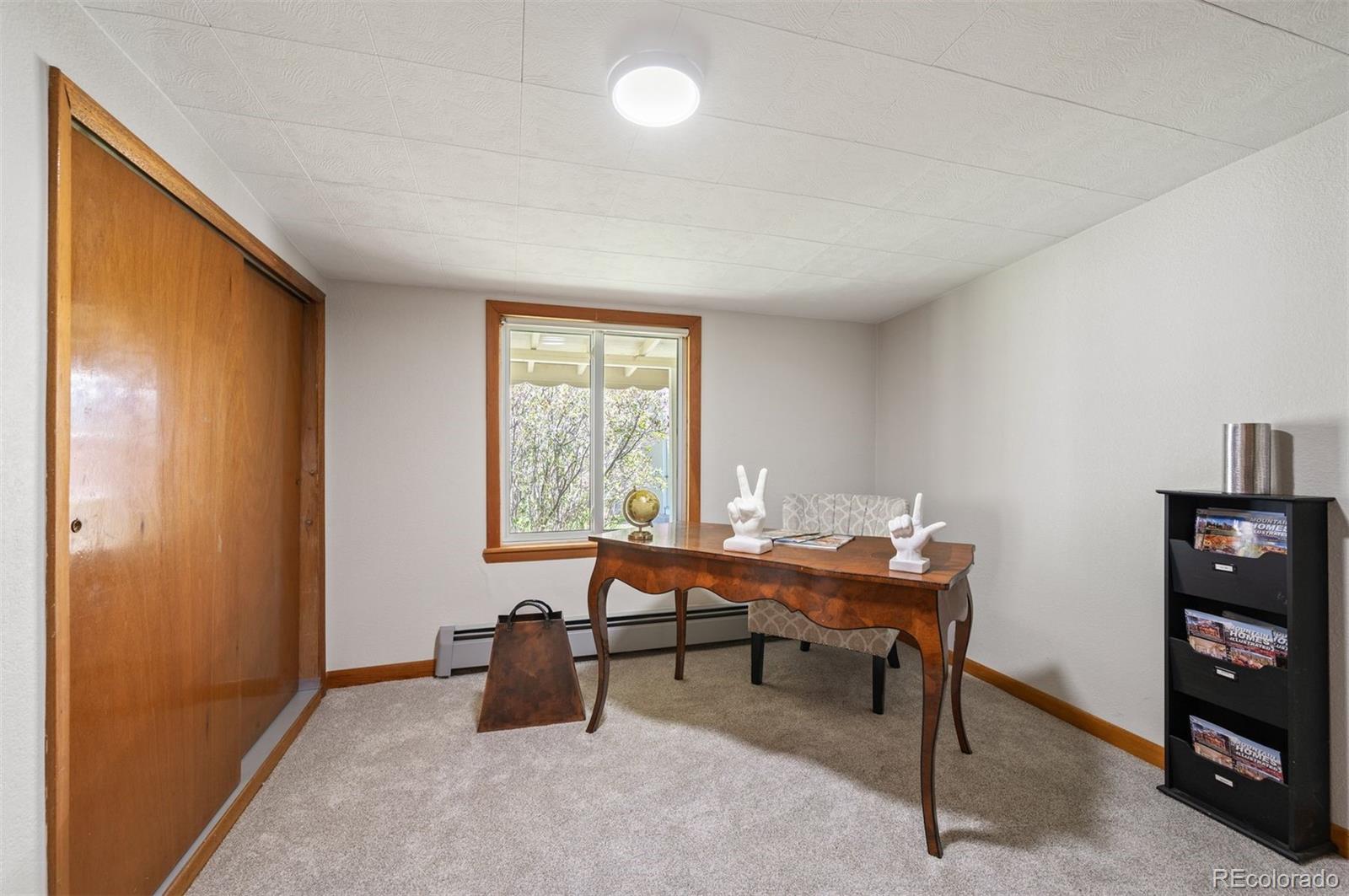 MLS Image #15 for 10049 s turkey creek road,morrison, Colorado