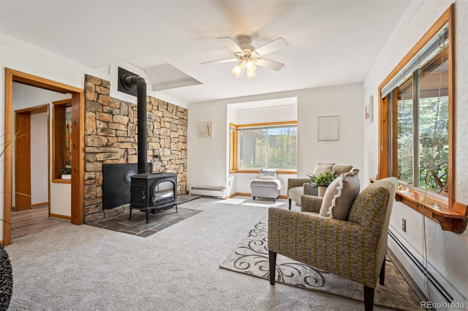 MLS Image #18 for 10049 s turkey creek road,morrison, Colorado