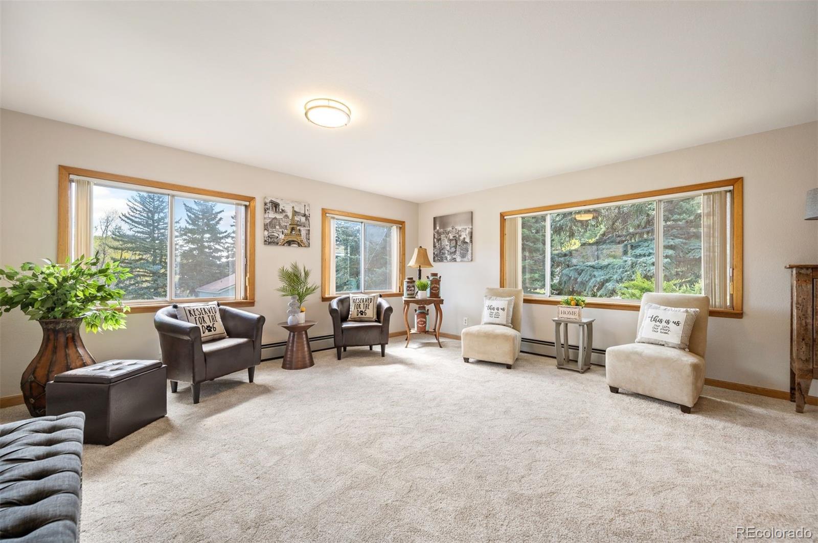 MLS Image #2 for 10049 s turkey creek road,morrison, Colorado