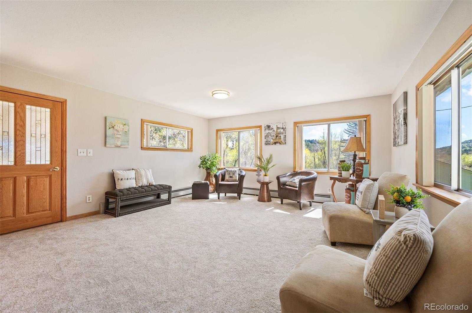 MLS Image #6 for 10049 s turkey creek road,morrison, Colorado