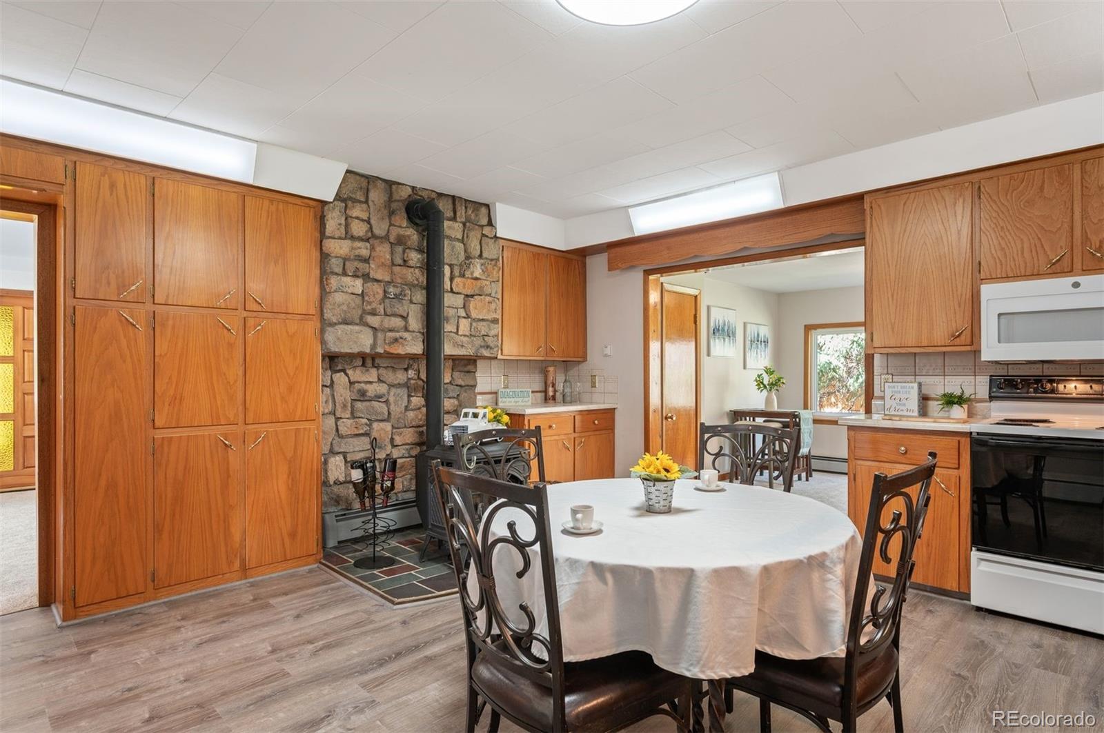 MLS Image #7 for 10049 s turkey creek road,morrison, Colorado