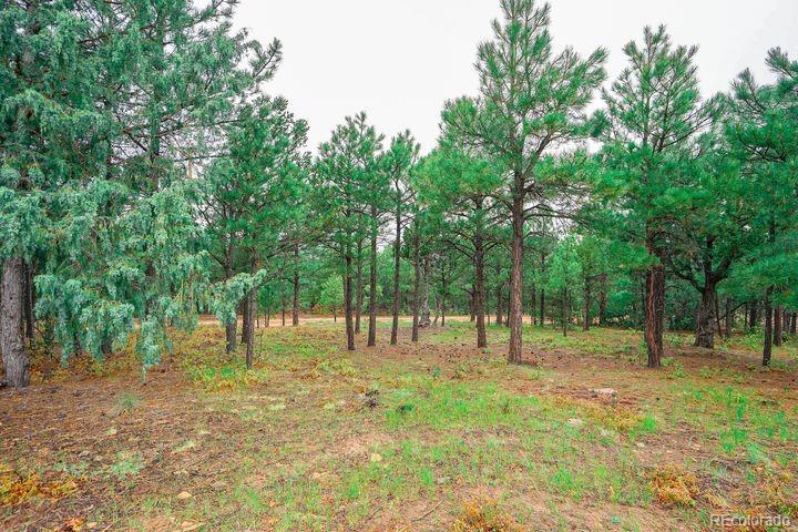 MLS Image #47 for 538  rugby mines road,walsenburg, Colorado