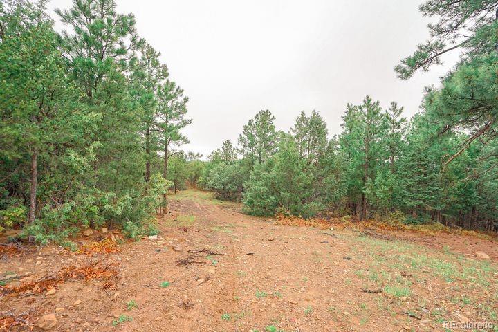 MLS Image #48 for 538  rugby mines road,walsenburg, Colorado