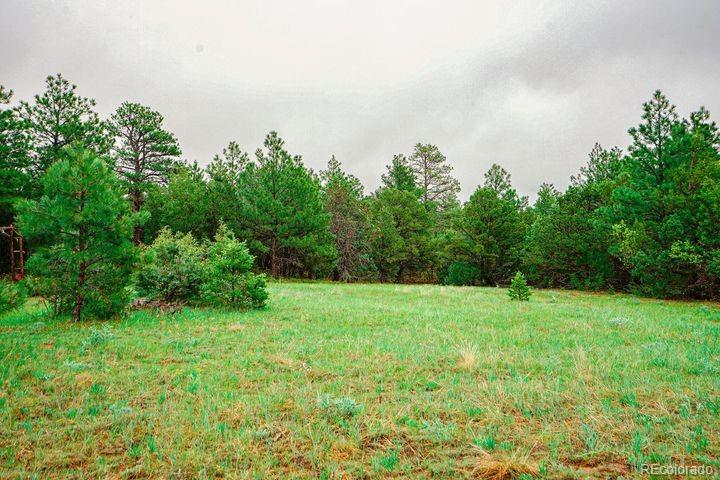 MLS Image #49 for 538  rugby mines road,walsenburg, Colorado