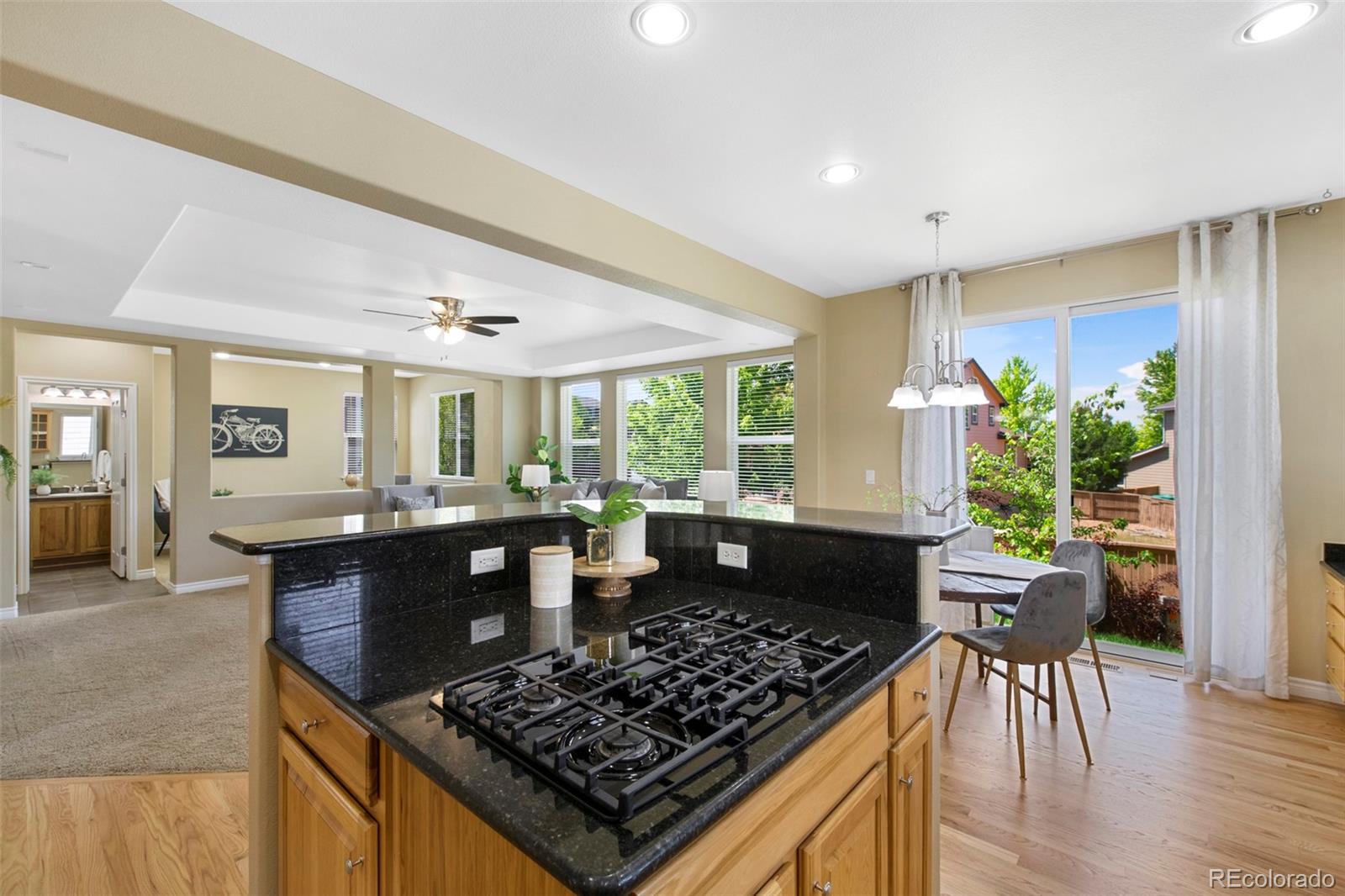 MLS Image #13 for 4821  bluegate drive,highlands ranch, Colorado