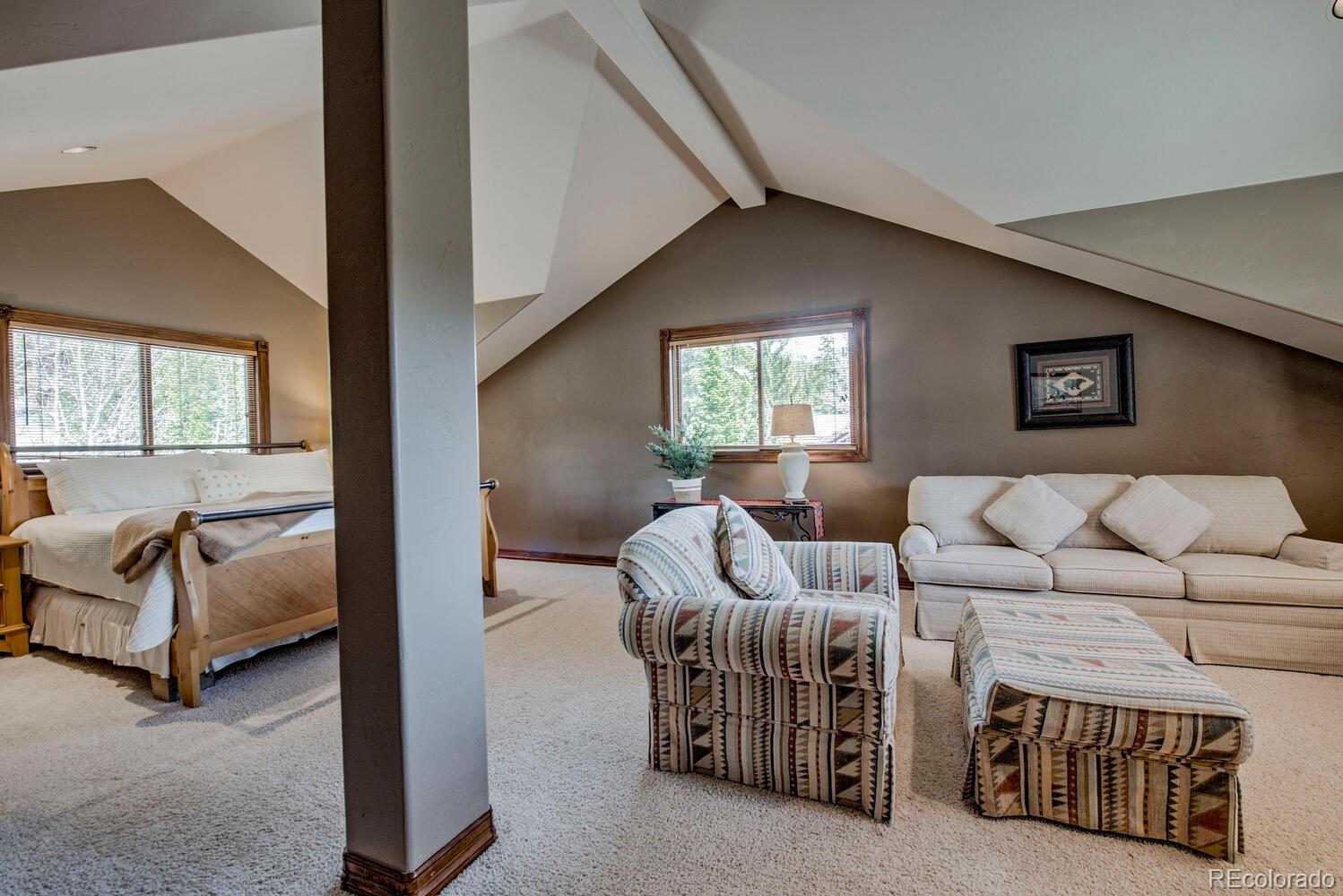 MLS Image #29 for 185 s fuller placer road,breckenridge, Colorado