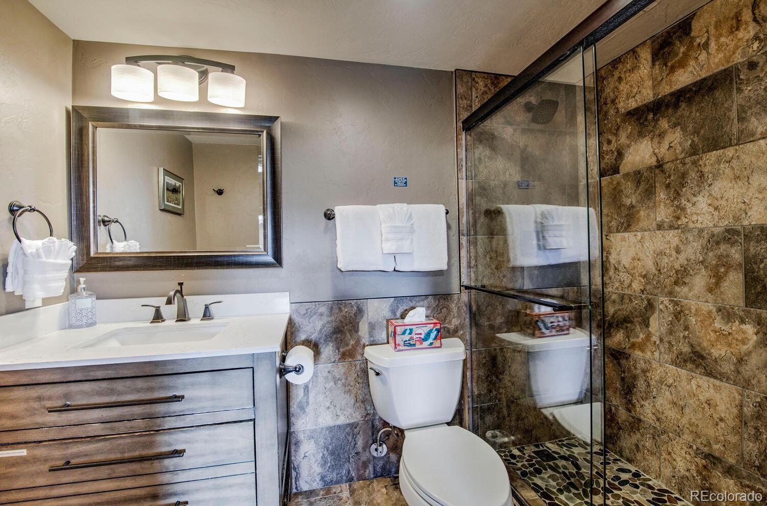 MLS Image #42 for 185 s fuller placer road,breckenridge, Colorado
