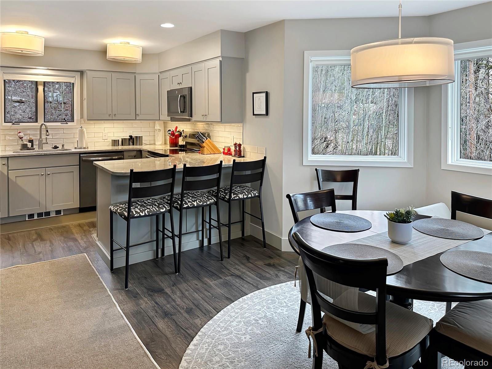 MLS Image #10 for 290  broken lance drive,breckenridge, Colorado