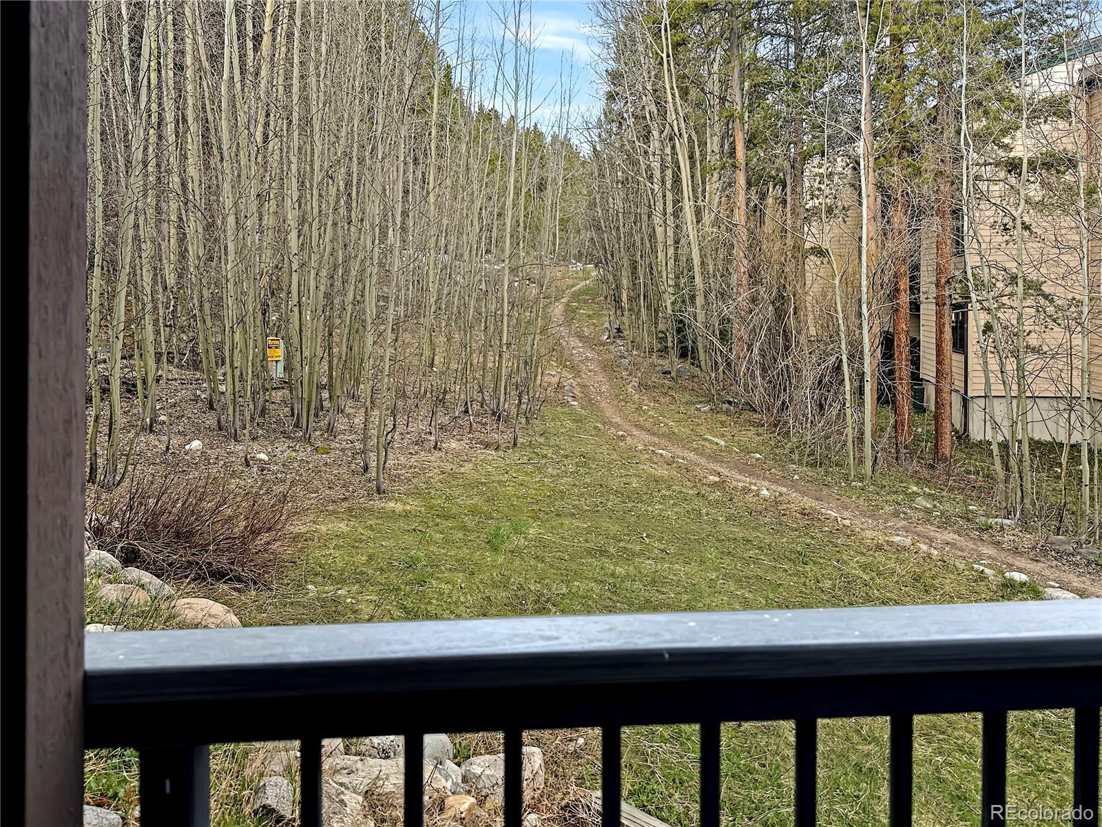 MLS Image #12 for 290  broken lance drive,breckenridge, Colorado