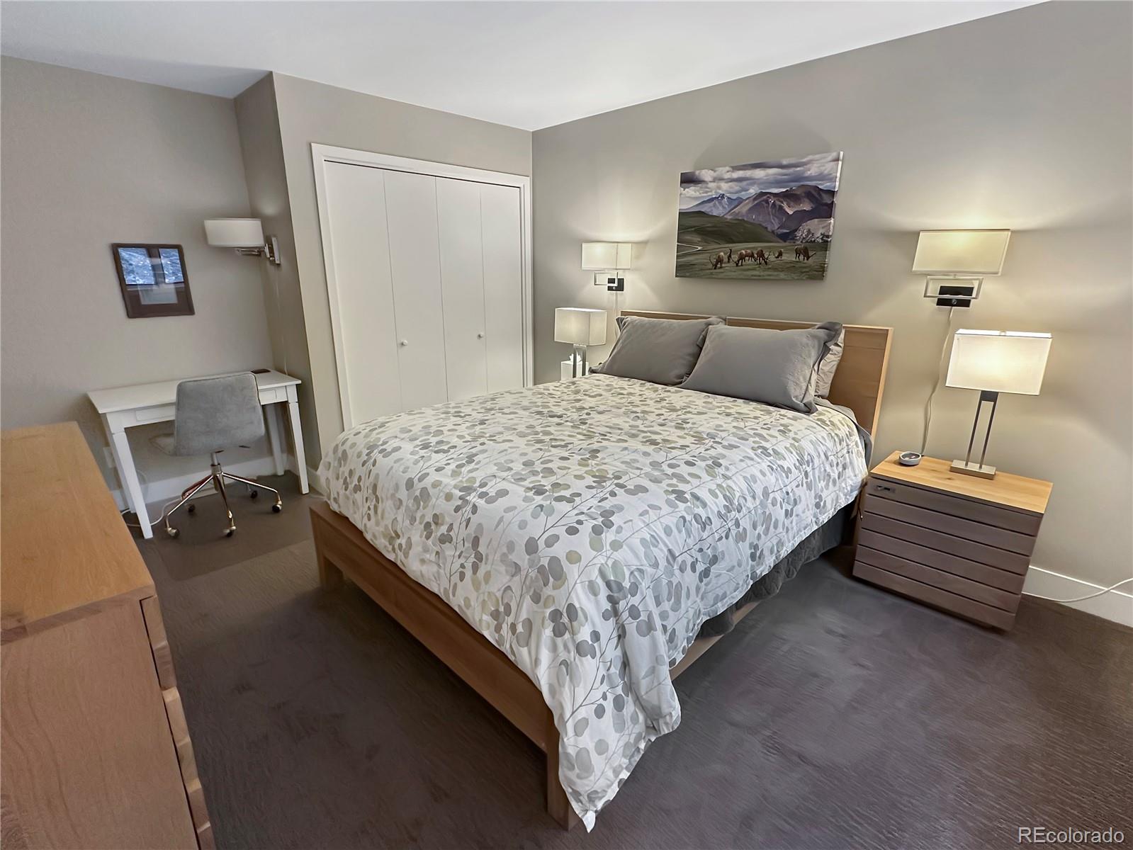 MLS Image #18 for 290  broken lance drive,breckenridge, Colorado