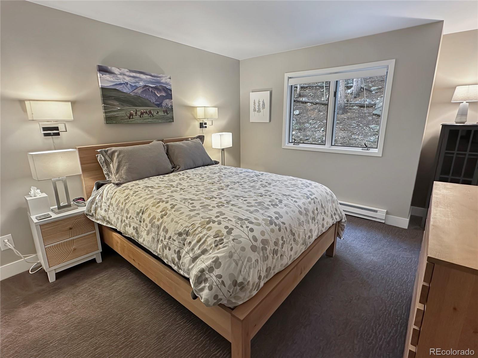 MLS Image #20 for 290  broken lance drive,breckenridge, Colorado
