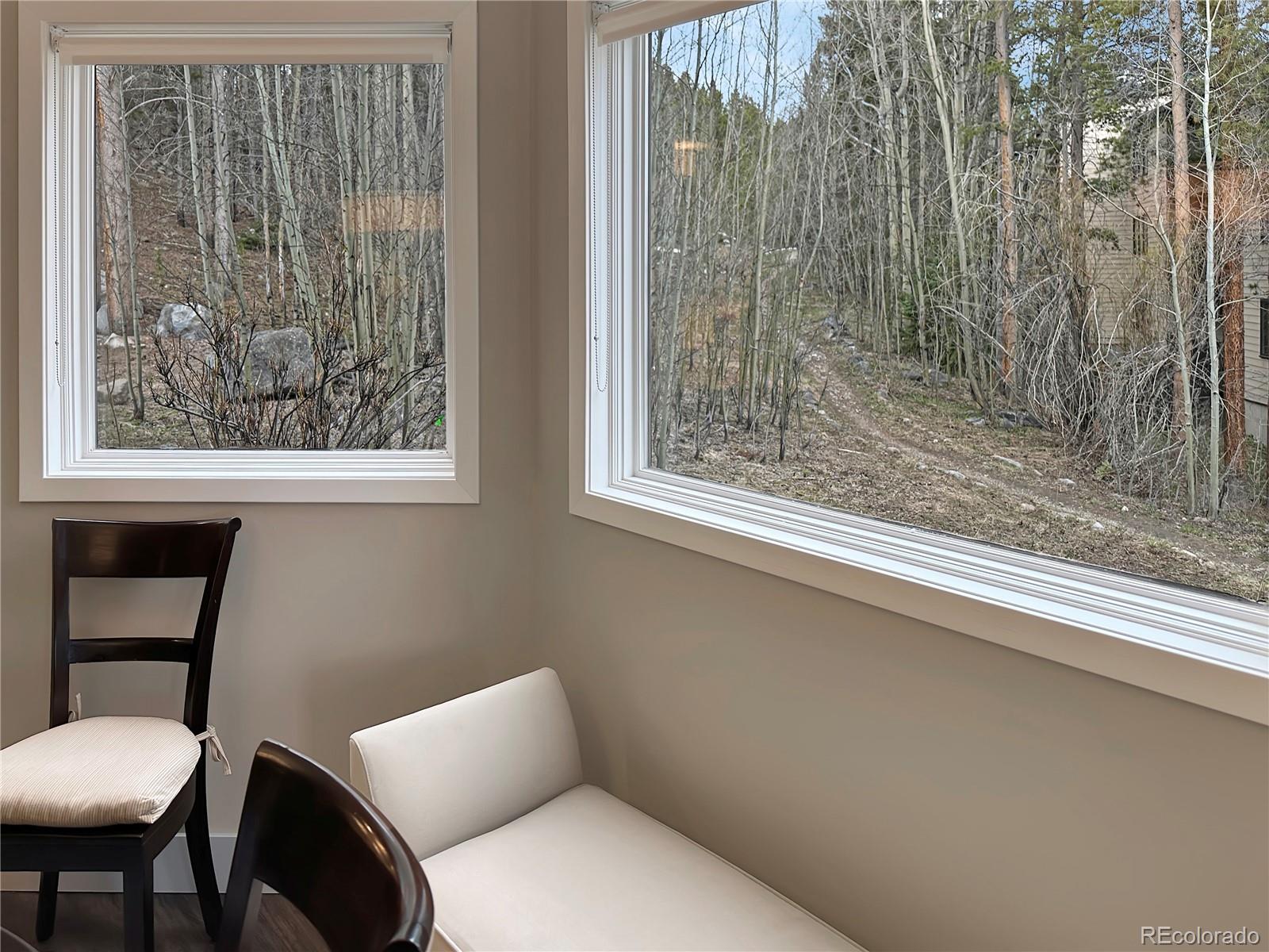 MLS Image #28 for 290  broken lance drive,breckenridge, Colorado