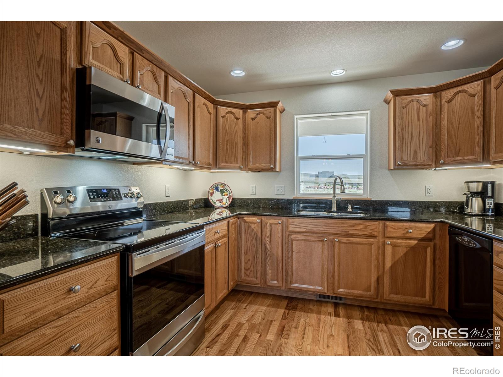 MLS Image #16 for 631  linecamp drive,livermore, Colorado