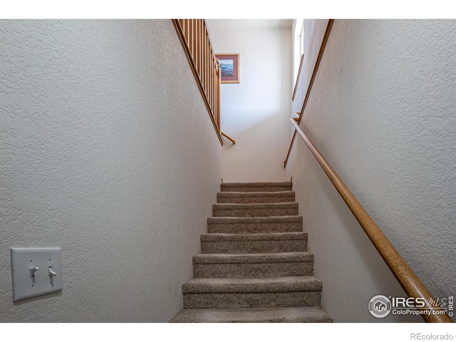 MLS Image #24 for 631  linecamp drive,livermore, Colorado