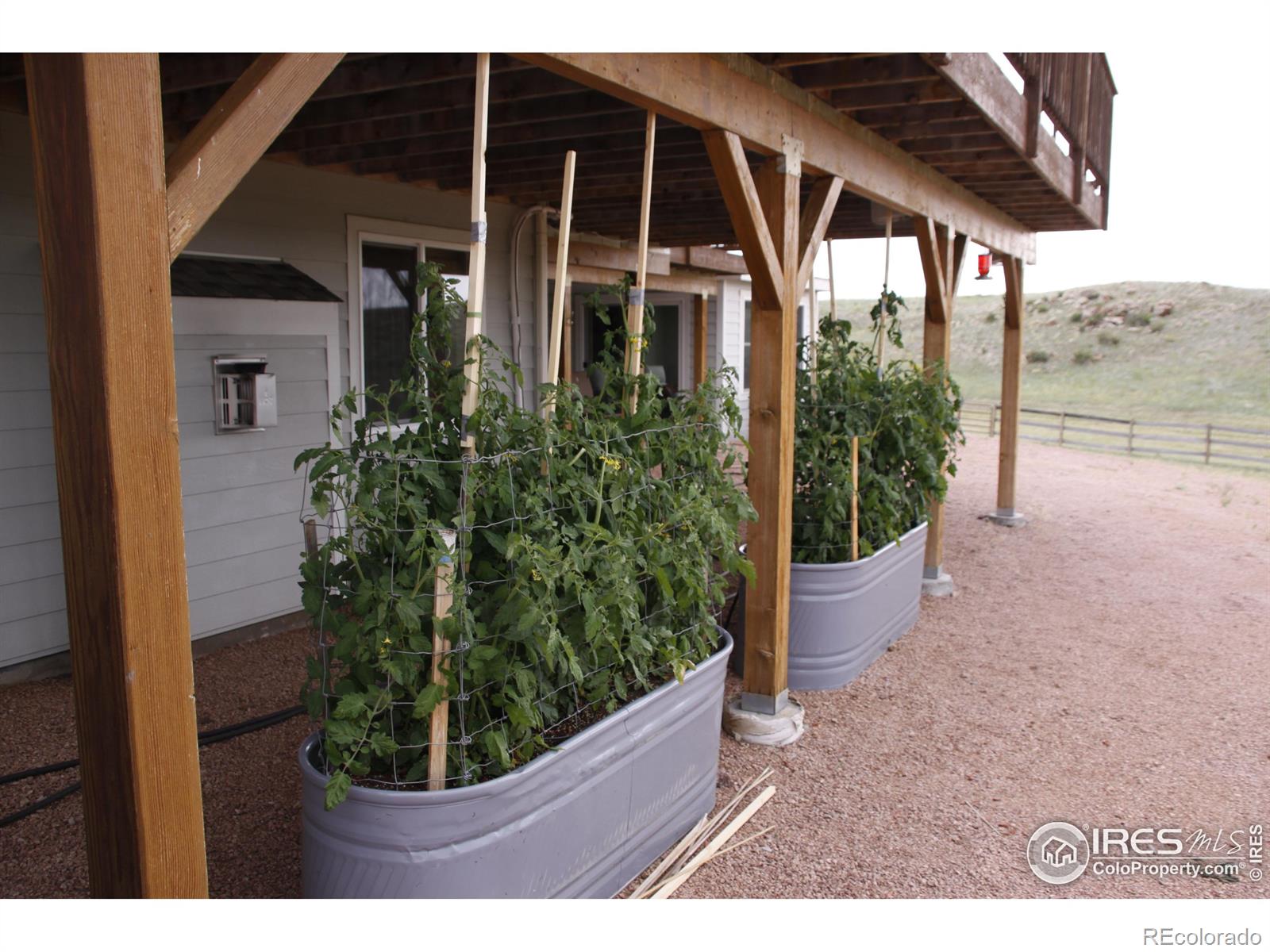 MLS Image #35 for 631  linecamp drive,livermore, Colorado