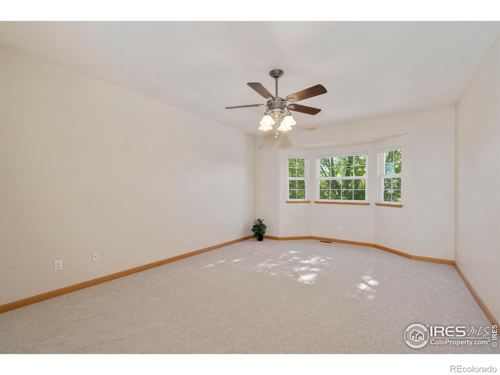 MLS Image #19 for 2361  43rd ave ct,greeley, Colorado
