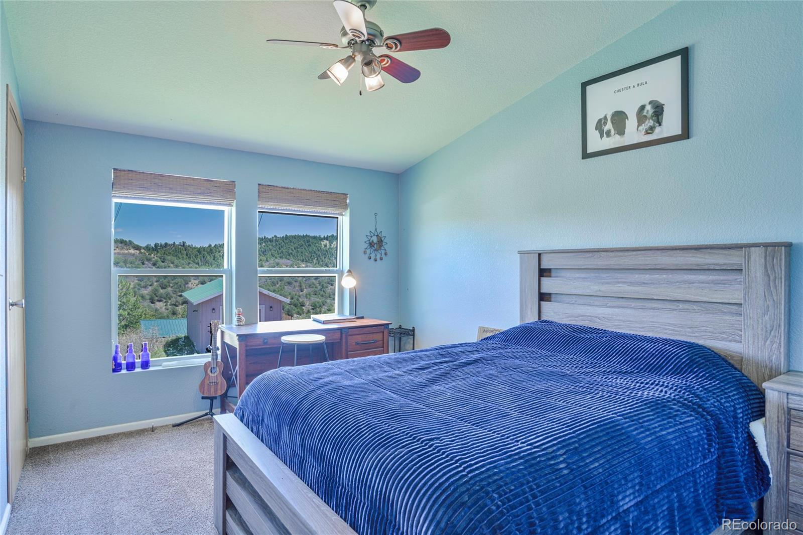 MLS Image #16 for 216  rainbow ridge road,canon city, Colorado