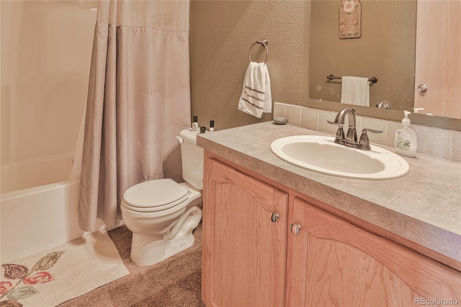 MLS Image #17 for 216  rainbow ridge road,canon city, Colorado