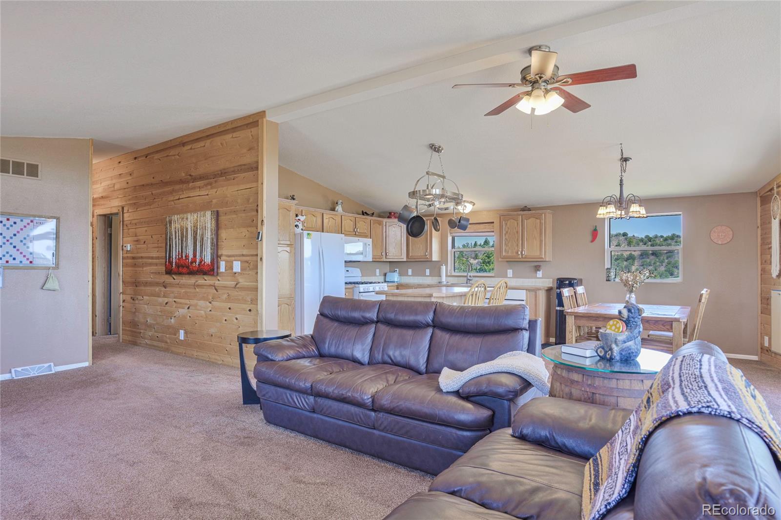 MLS Image #2 for 216  rainbow ridge road,canon city, Colorado